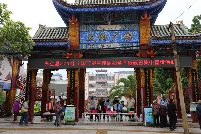 永仁县林草局积极参与2025年全国节能宣传周和全国低碳日集中宣传活动