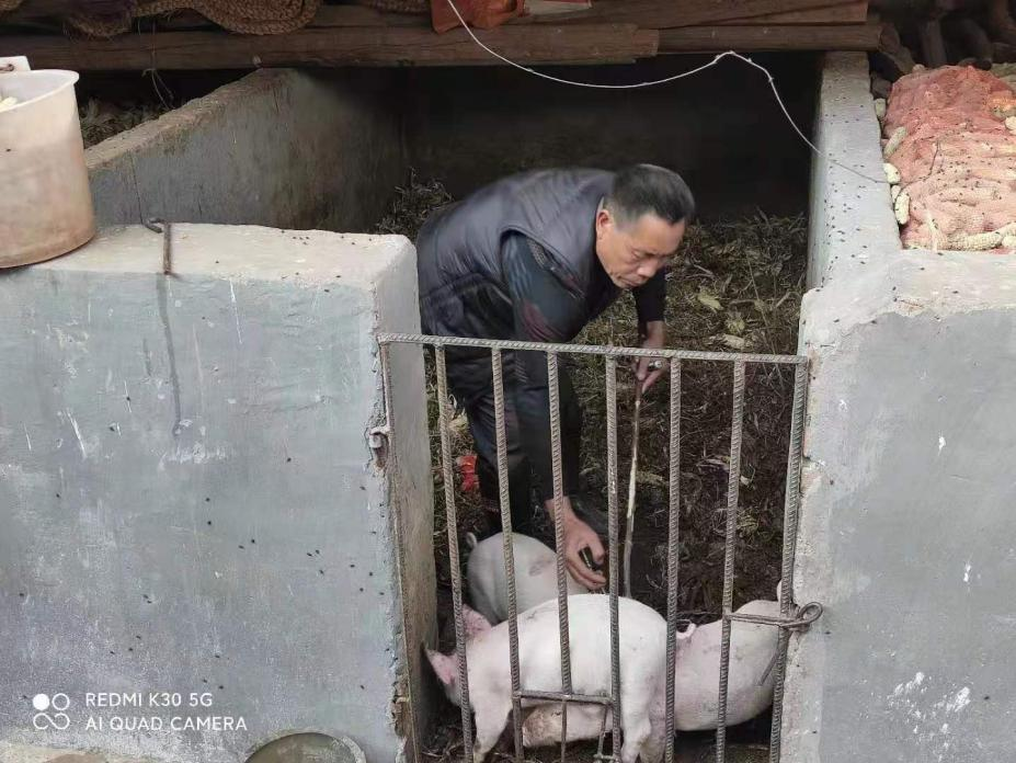 复制图片