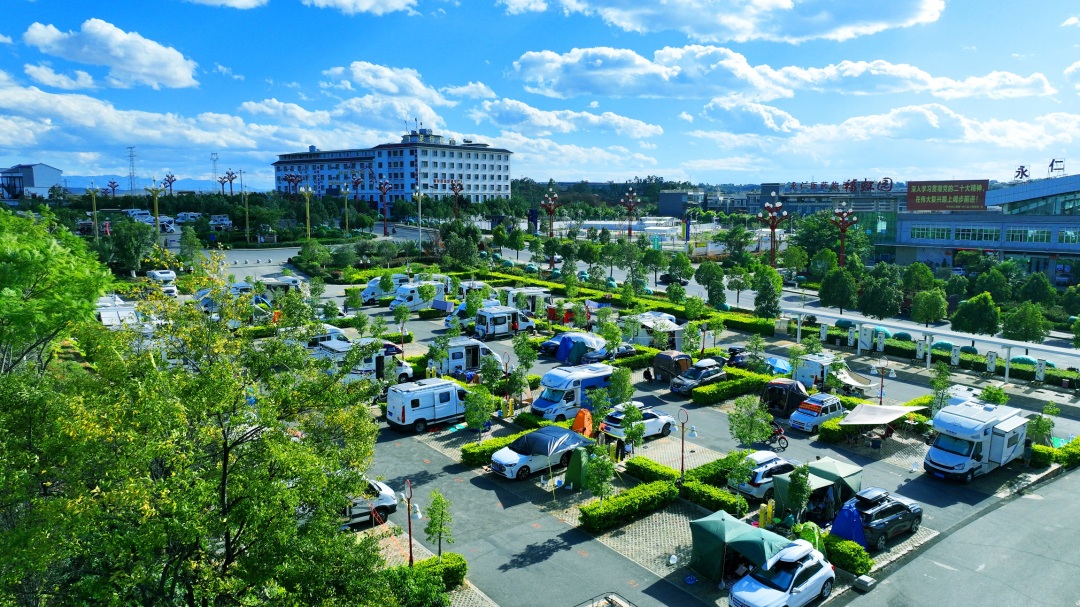 复制图片 复制图片