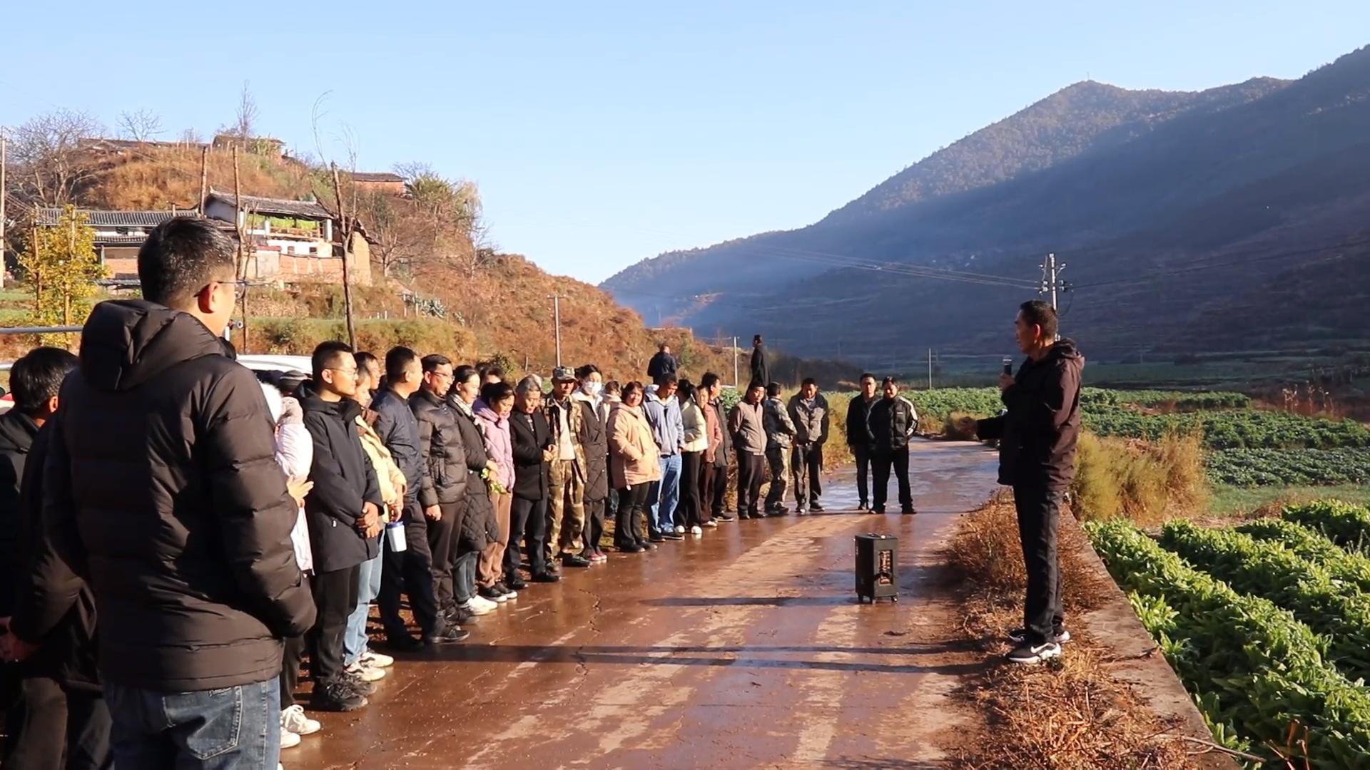 贡菜1.jpg 贡菜1.jpg