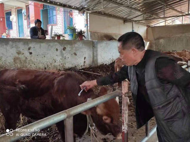 复制图片 复制图片