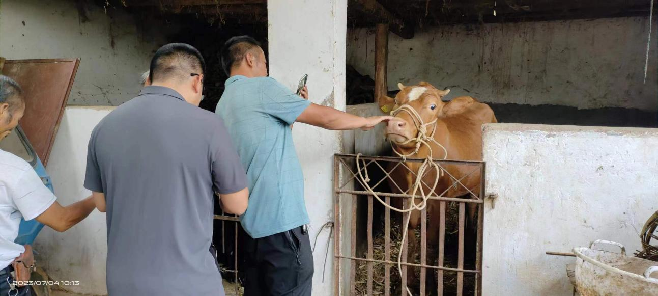 复制图片 复制图片