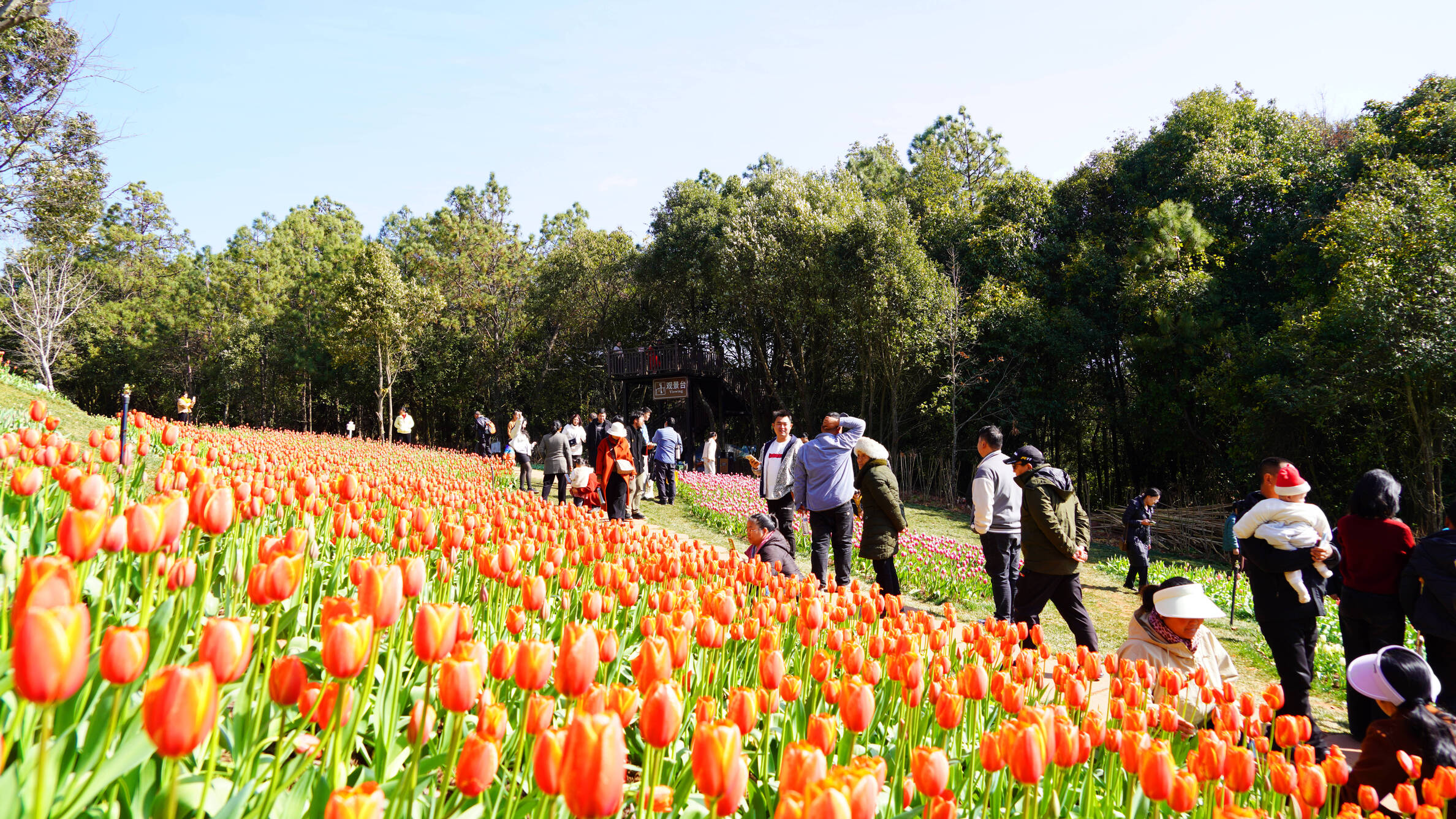 复制图片 复制图片