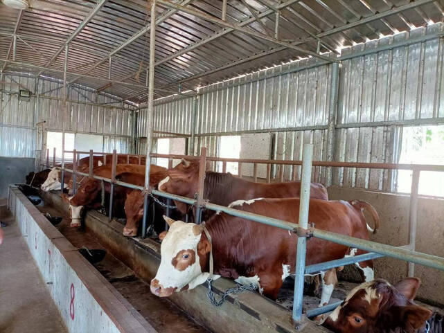 复制图片 复制图片