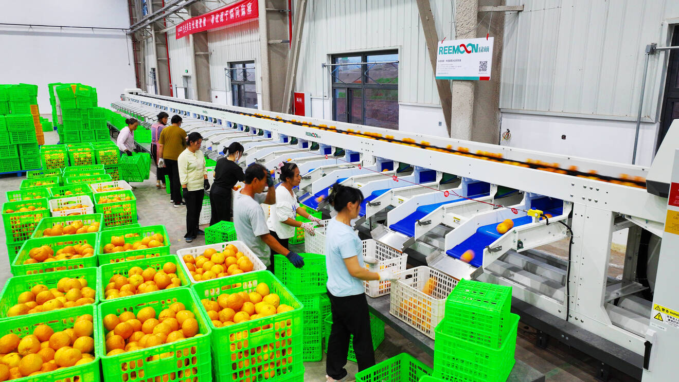 永攀物流港分拣4.jpg 永攀物流港分拣4.jpg