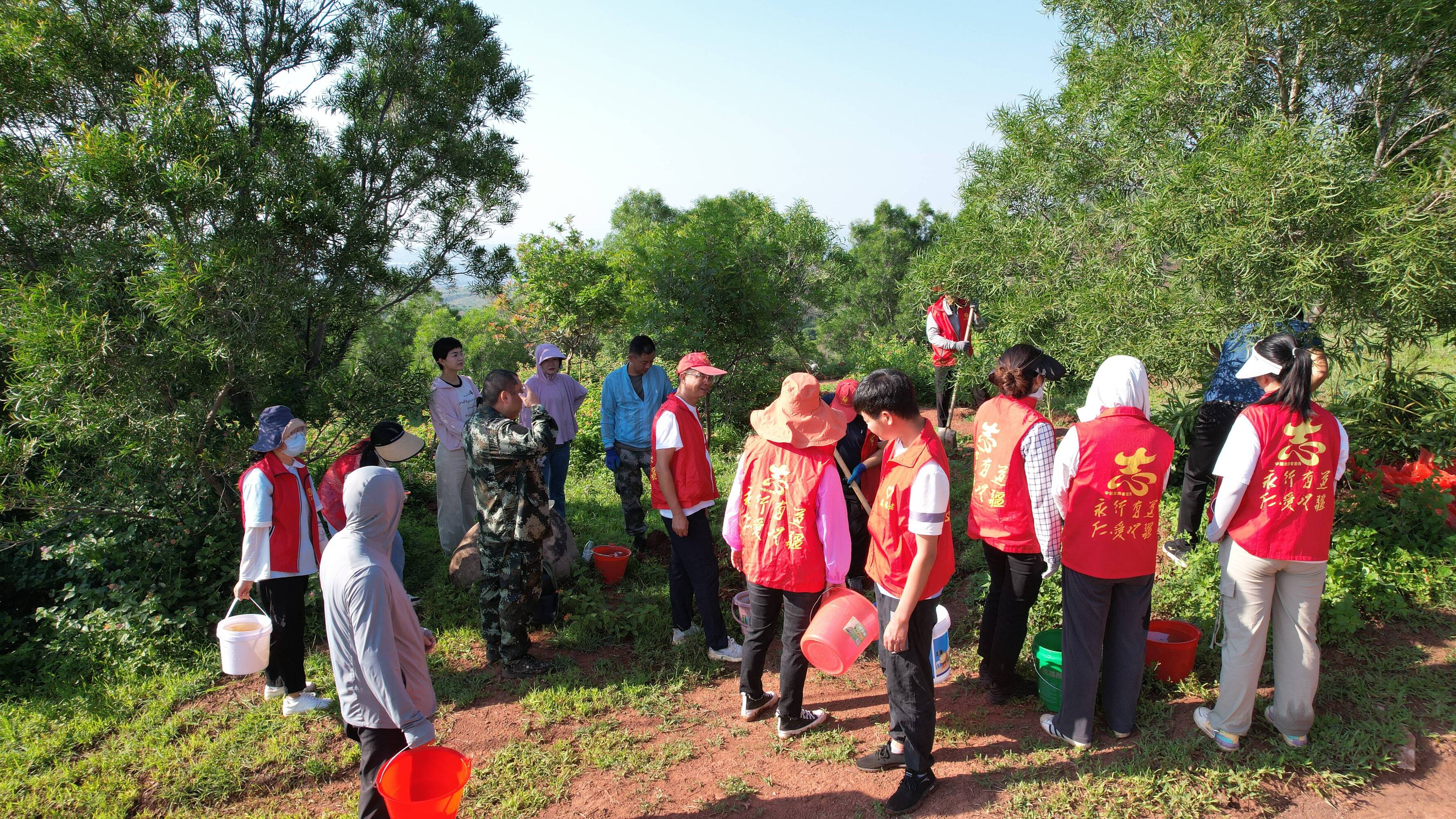 复制图片 复制图片