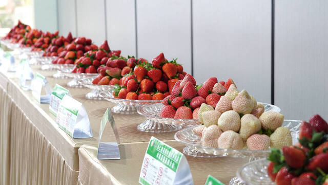 复制图片 复制图片