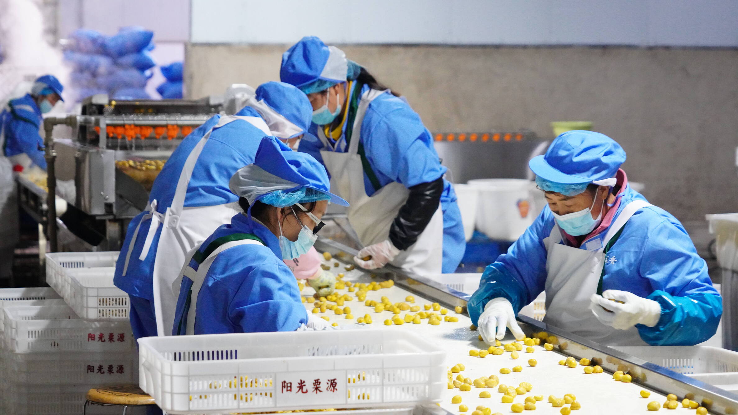 复制图片 复制图片