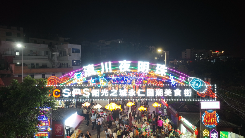 滇川夜明珠.png 滇川夜明珠.png