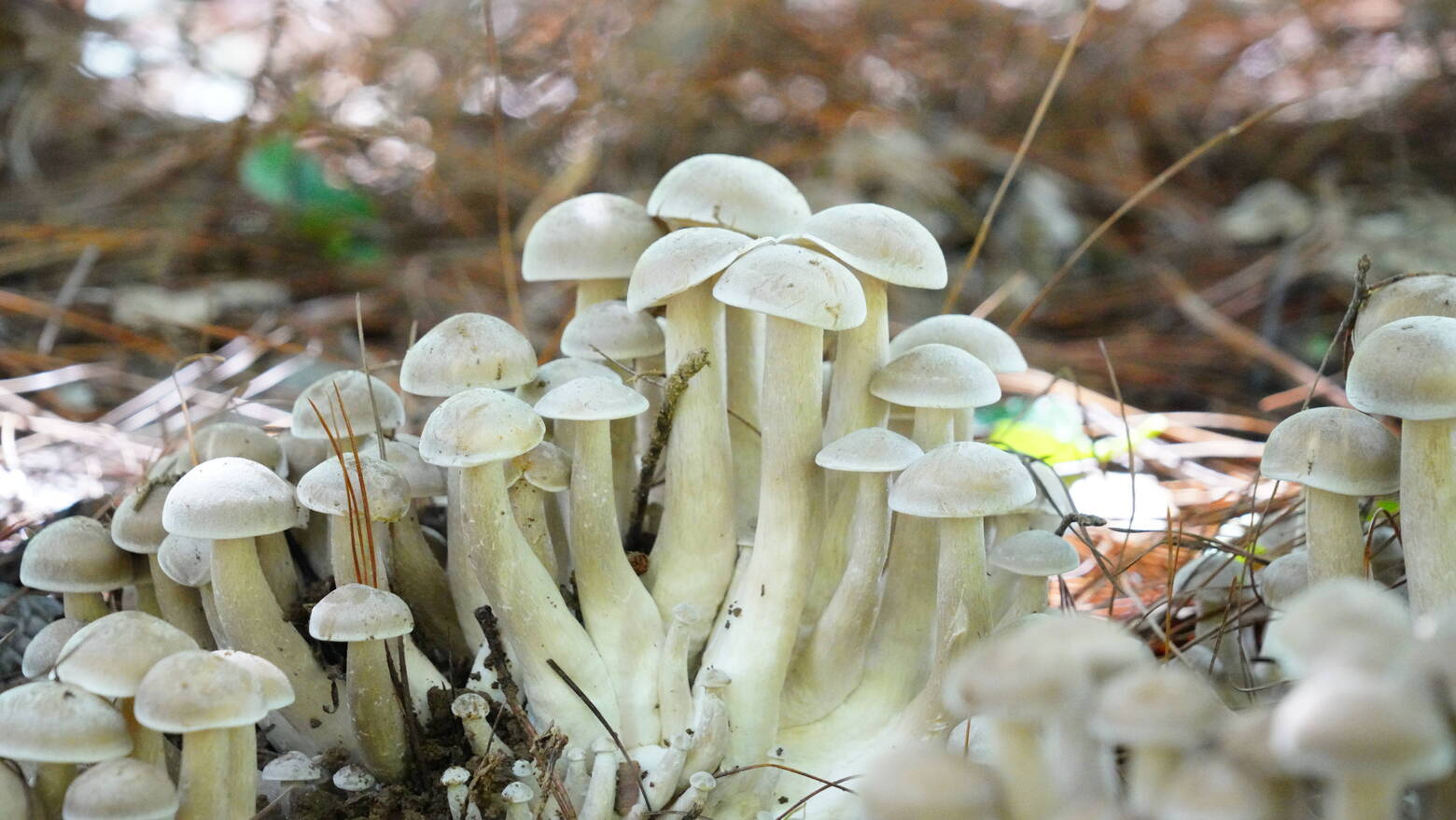 8dd213db286e114aeb6bc920448d929.jpg 8dd213db286e114aeb6bc920448d929.jpg