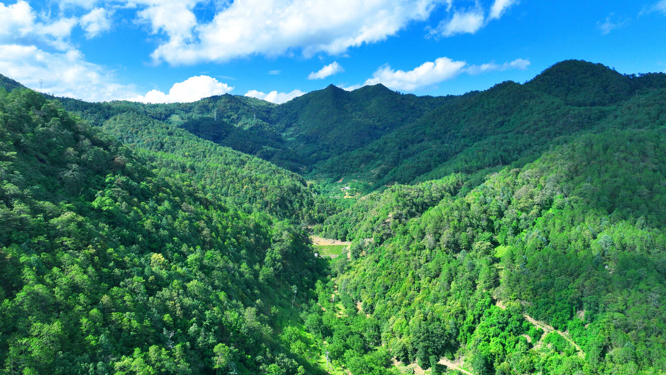 复制图片 复制图片