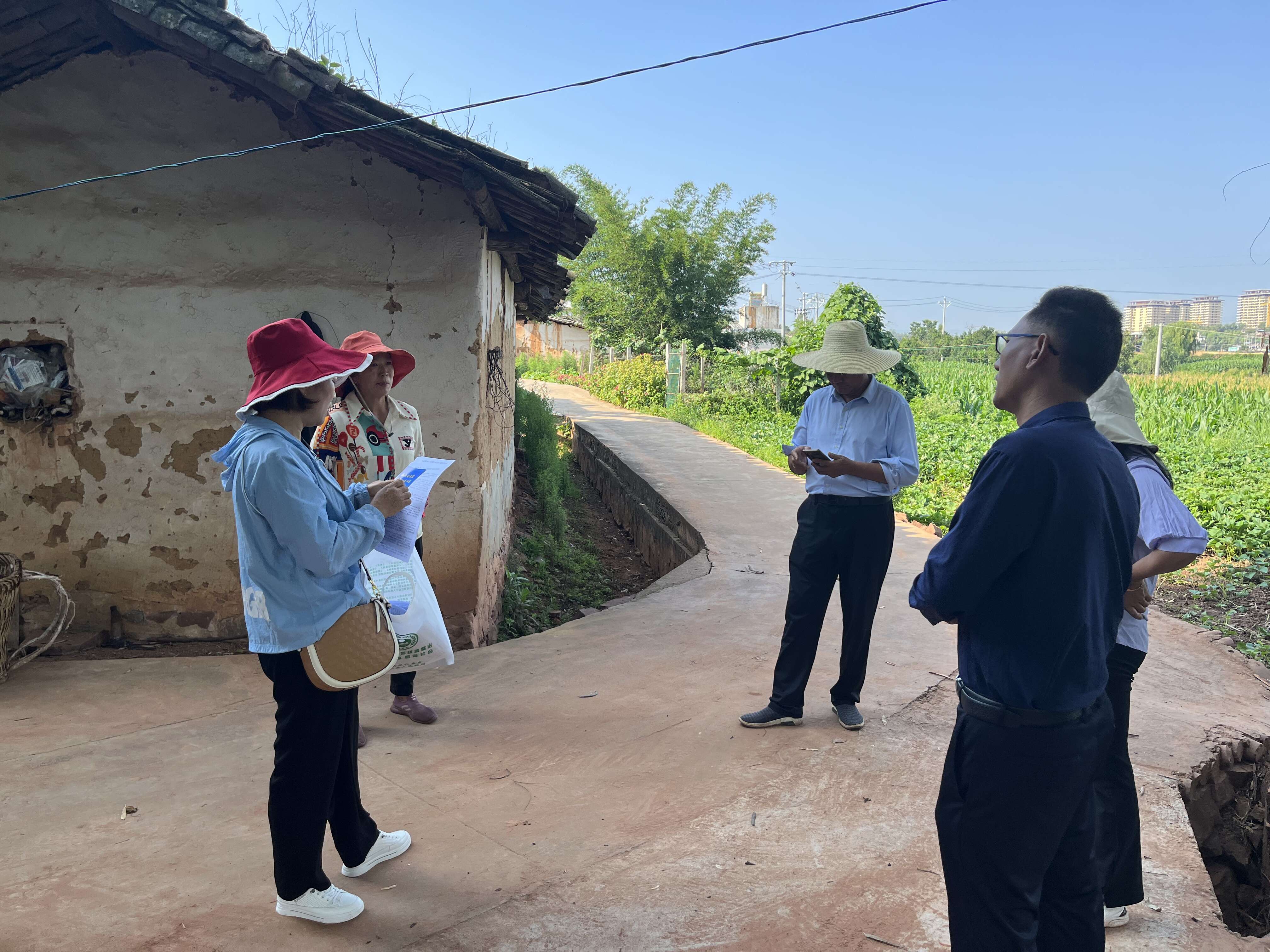 复制图片 复制图片