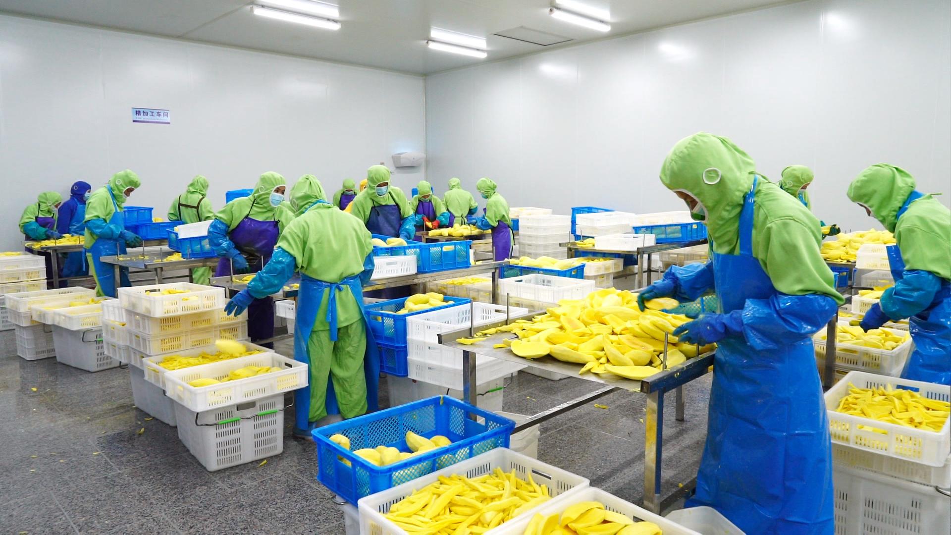 风沃.jpg 风沃.jpg