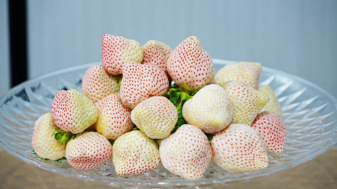 DSC00663 改.jpg DSC00663 改.jpg