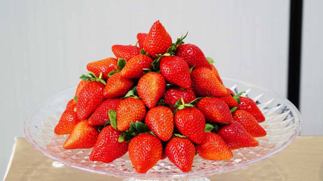 DSC00650 改.jpg DSC00650 改.jpg