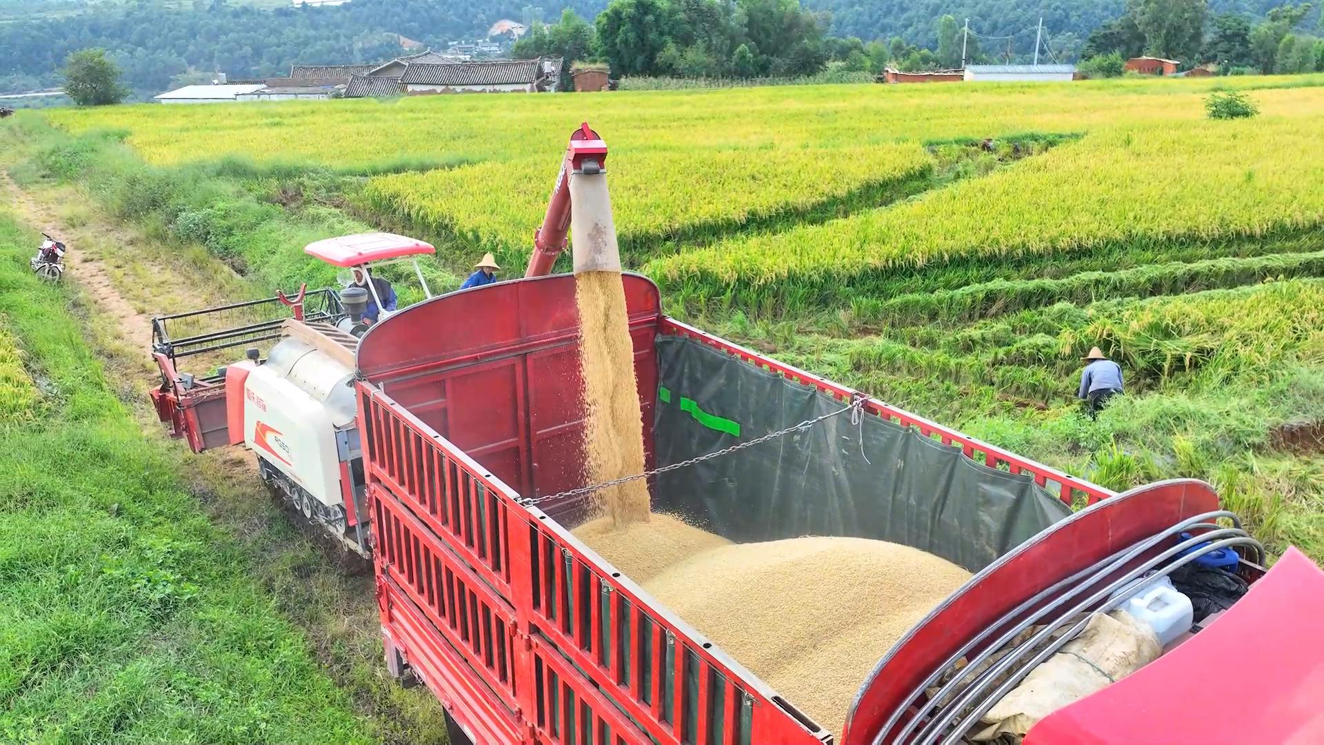 复制图片 复制图片