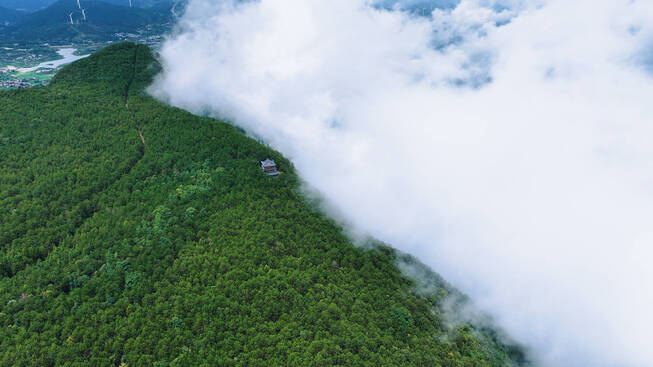 方山森林2.png 方山森林2.png