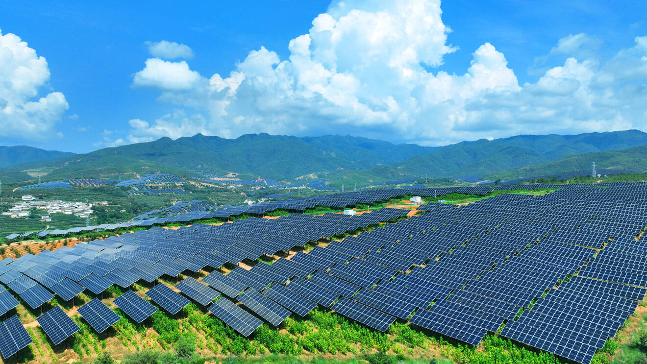 维的乡大奋田板下种桑2024年8月20日摄 (1).jpg 维的乡大奋田板下种桑2024年8月20日摄 (1).jpg