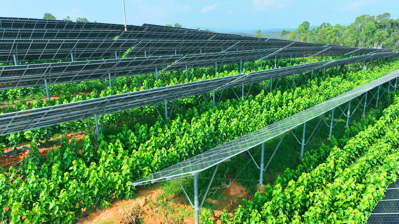 复制图片 复制图片