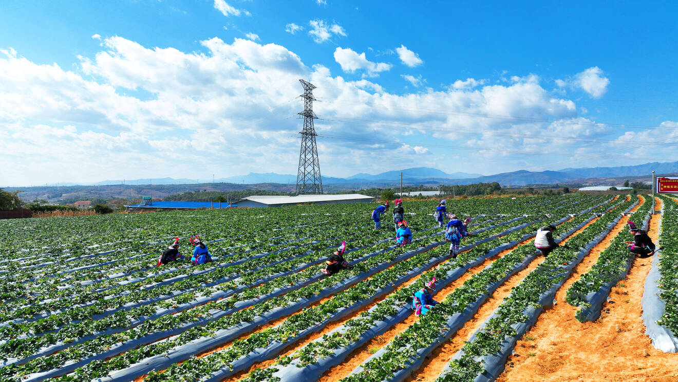 DJI_0017 改2.jpg DJI_0017 改2.jpg