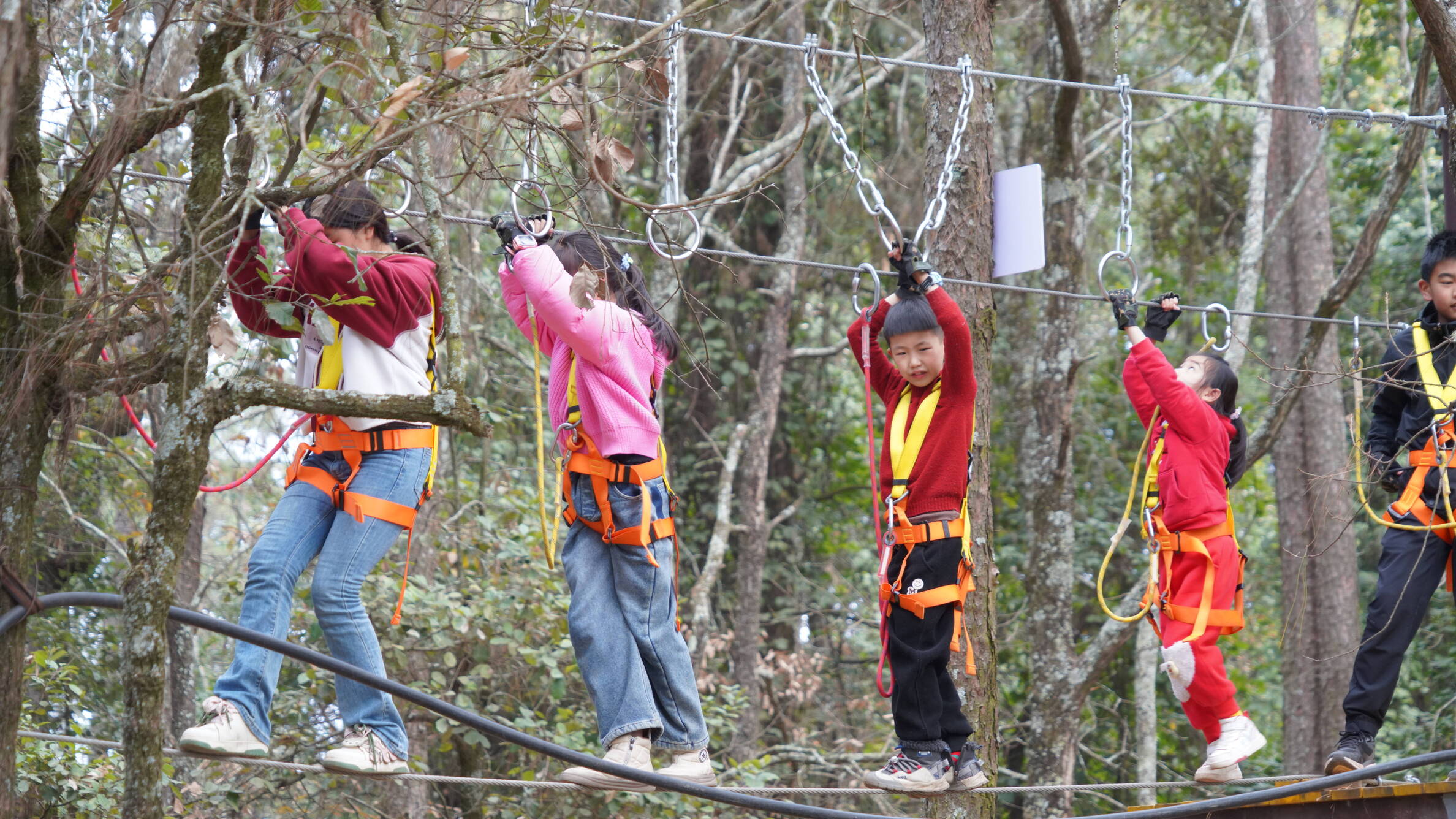 复制图片 复制图片