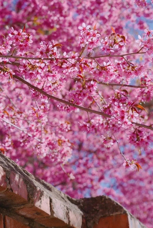 picture20211116083056