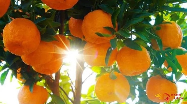 picture20211116083056