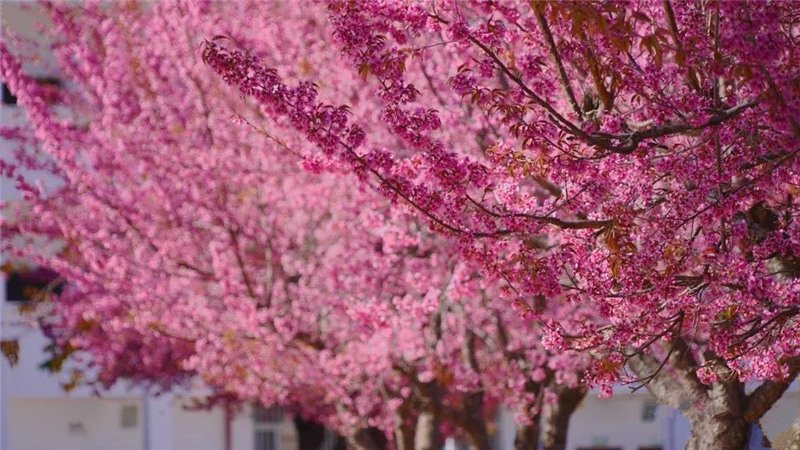 picture20211116083056