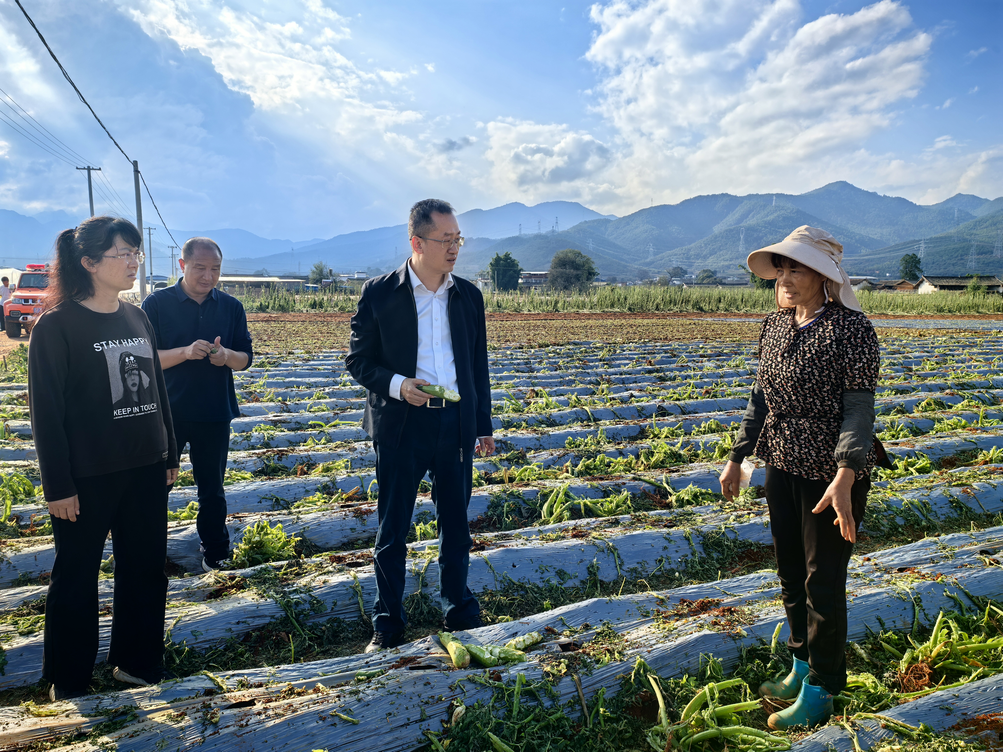 微信图片_20241016165213.jpg 微信图片_20241016165213.jpg