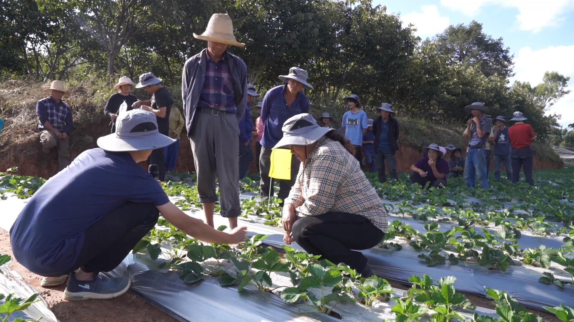 复制图片 复制图片