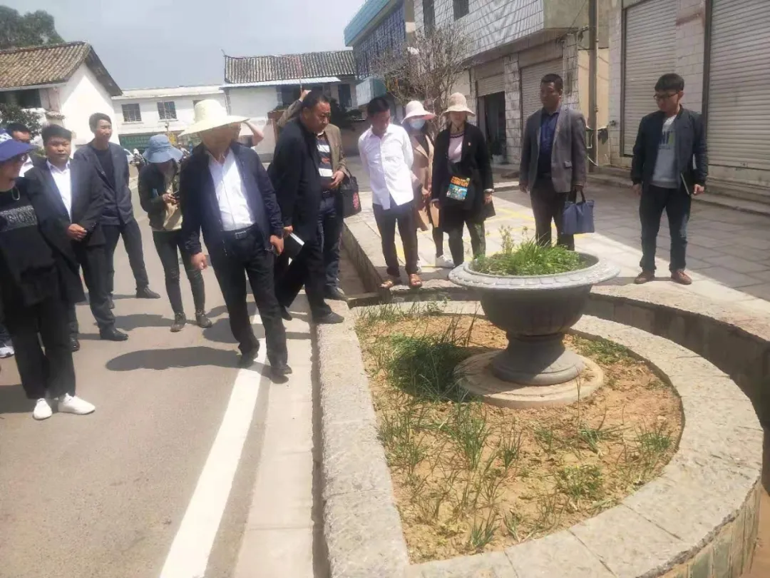 “阳光小镇”创新治理之路,推进宜就治理能力和水平提升