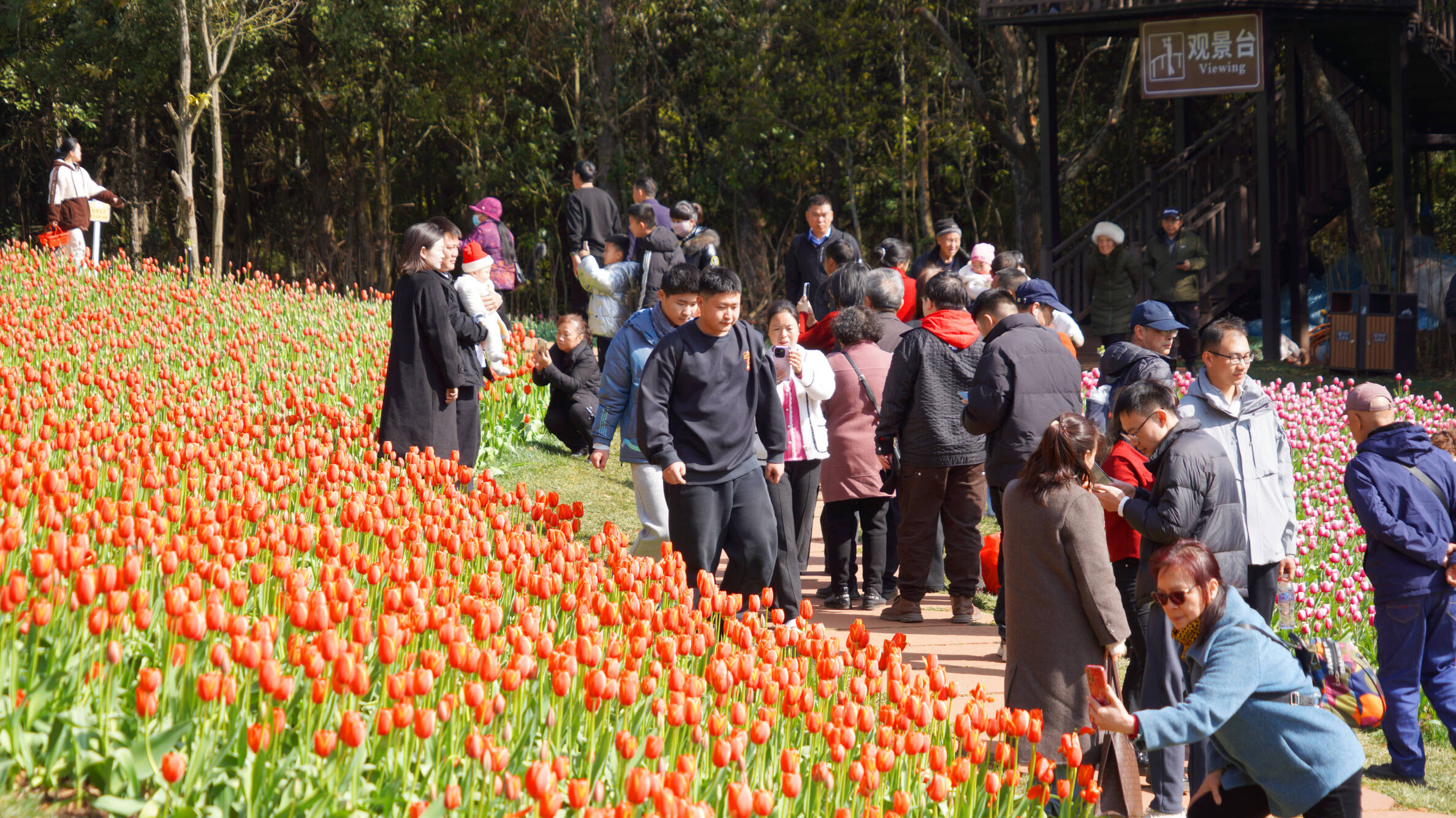复制图片 复制图片