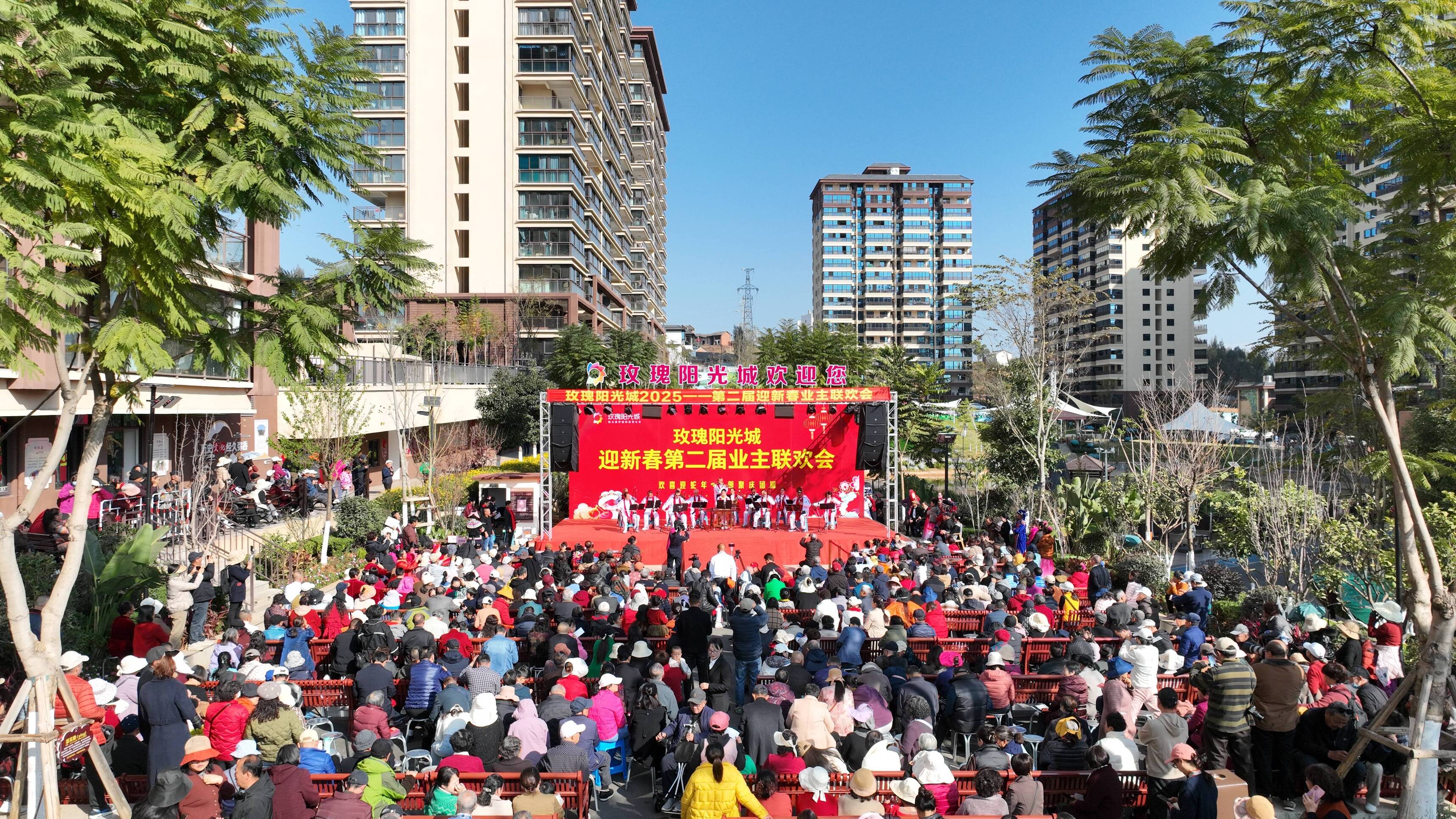 复制图片 复制图片