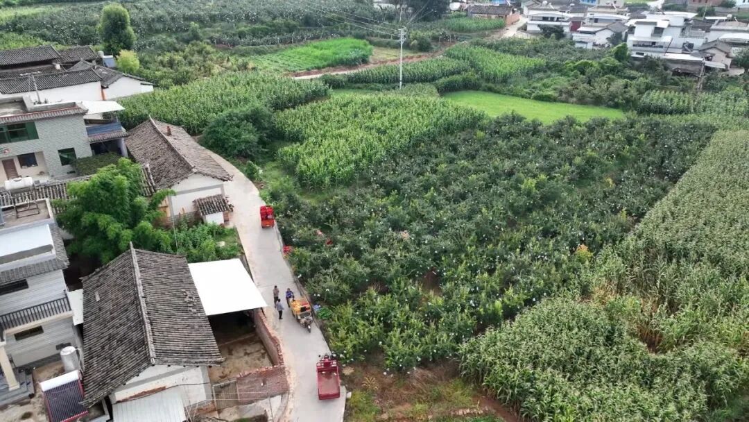 undefined undefined