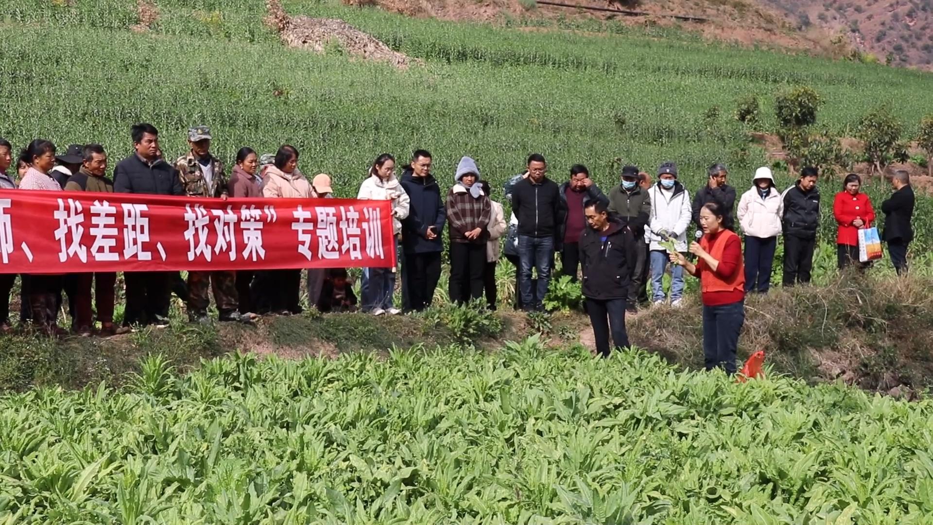 复制图片 复制图片